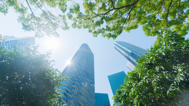 perspective exterior pattern blue glass wall modern buildings 