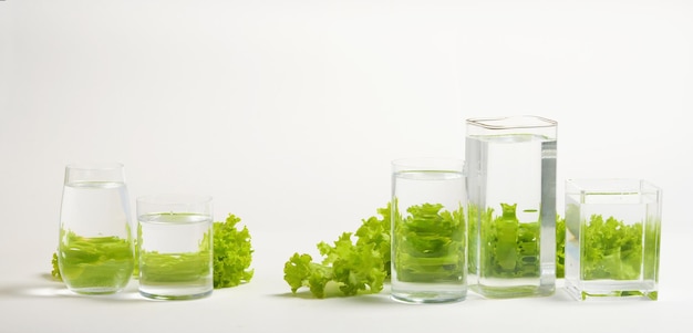 Perspective fractured and skewed images of common foods as seen through vessels filled with water