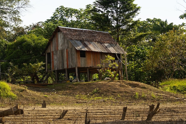 Peru Peruvian Amazonas landscape The photo present typical indian tribes settlement in Amazon