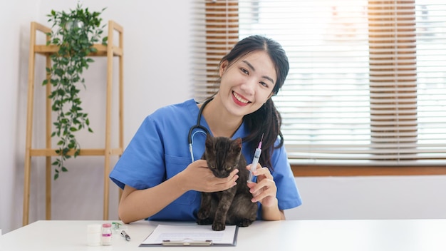 Pet care concept Female veterinary prepare vaccinations to injection the cat in vet clinic