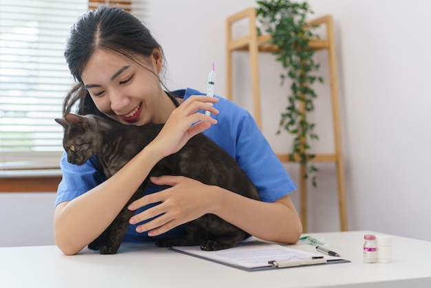 Pet care concept Female veterinary prepare vaccinations to injection the cat in vet clinic