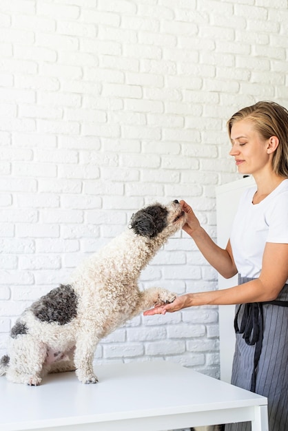 Photo pet care young smiling woman giving her dog a snack