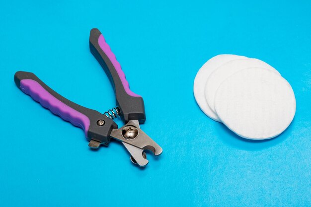 Pet Claw Scissors and cotton pads on blue background