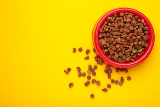 Pet food in red bowl on yellow background