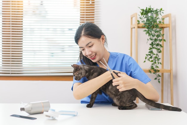 Pet salon concept Female veterinarian hugging cat after using scissors to trim fur of cat in salon