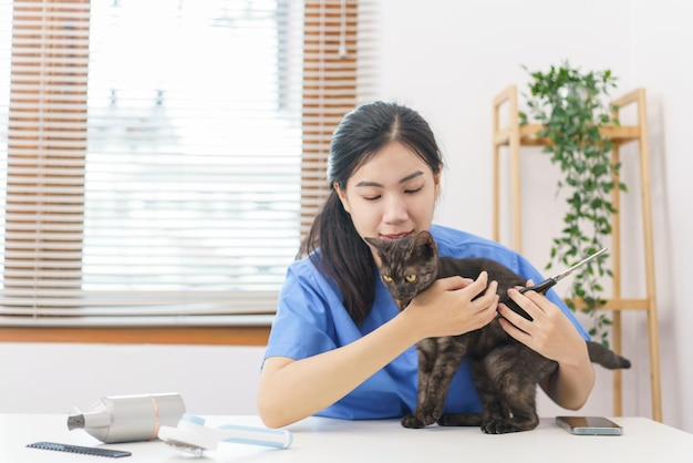 Pet salon concept Female veterinarian hugging cat after using scissors to trim fur of cat in salon