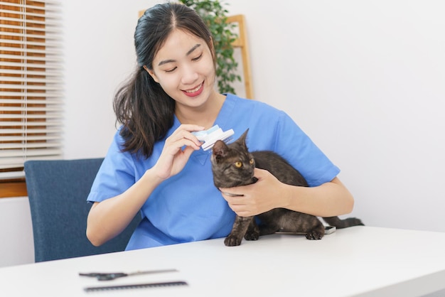 Pet salon concept Female veterinarian use combing hair brush to brushing fur of cat in the salon