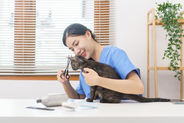 Pet salon concept Female veterinarian using scissors to trim fur of cat in the salon