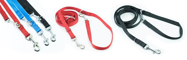 Photo pet supplies set about leash for pets isolated on white background