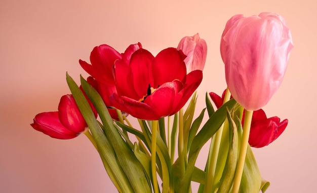 petal gift red bouquet