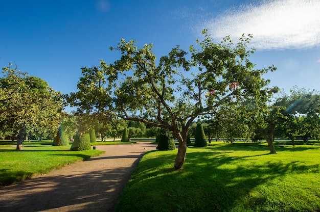 Peterhof Park in Saint Petersburg in Russia