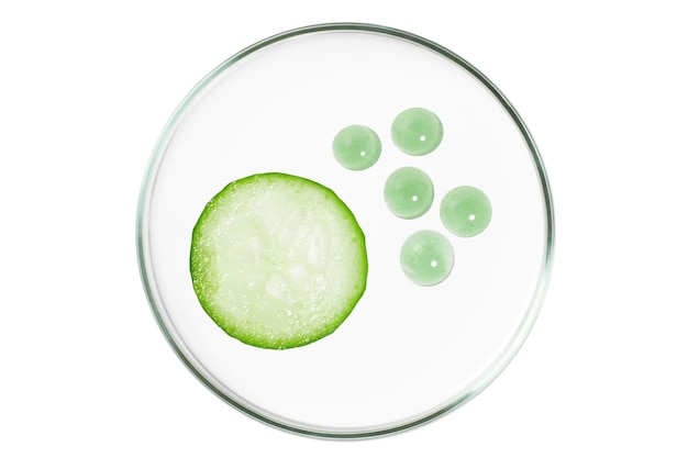 Petri dish isolated on empty background Cucumber slices and drops of cream in a Petri dish