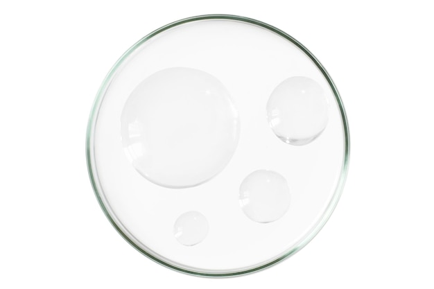 Petri dish isolated on empty background A smear of a transparent gel serum in a Petri dish