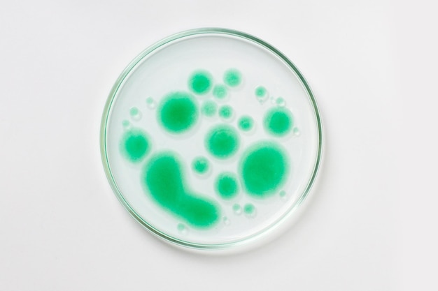 Petri dish on a light background Green drops bacteria or viruses Mold Laboratory biochemistry chemistry science Study