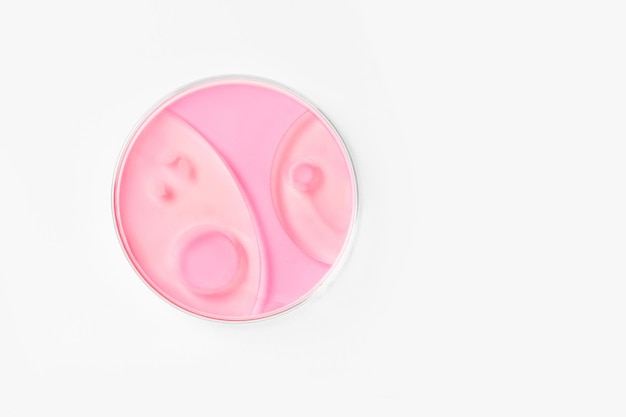 Petri dish on a light background With pink liquid Water stains oil drops Glassware study Chemical elements