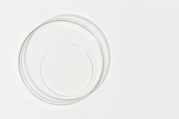 Petri dish on a light background With a smear of clear gel Cosmetic gel lubricant gel View from above