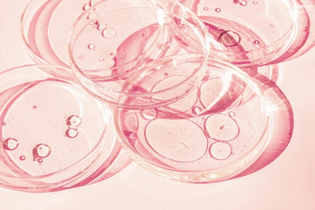 Petri dish Petri cups with liquid Kit Chemical elements oil cosmetics Gel water molecules viruses Closeup On a pink background