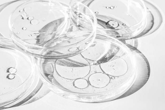 Petri dish Petri cups with liquid Kit Chemical elements oil cosmetics Gel water molecules viruses Closeup On a white background