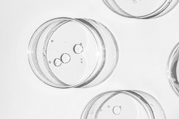 Petri dish Petri cups with liquid Kit Chemical elements oil cosmetics Gel water molecules viruses Closeup On a white background