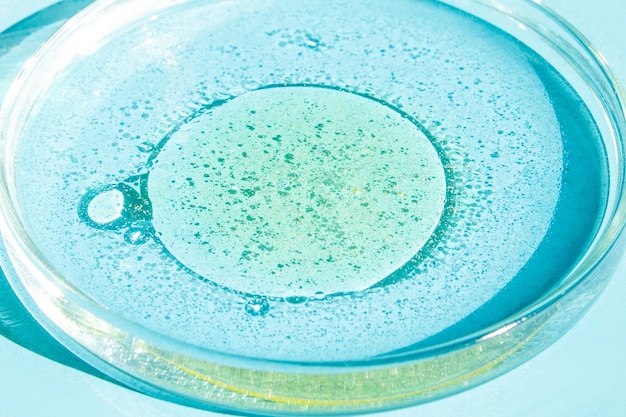 Petri dish Petri's cup with liquid Chemical elements oil cosmetics Gel water molecules viruses Closeup On a blue background