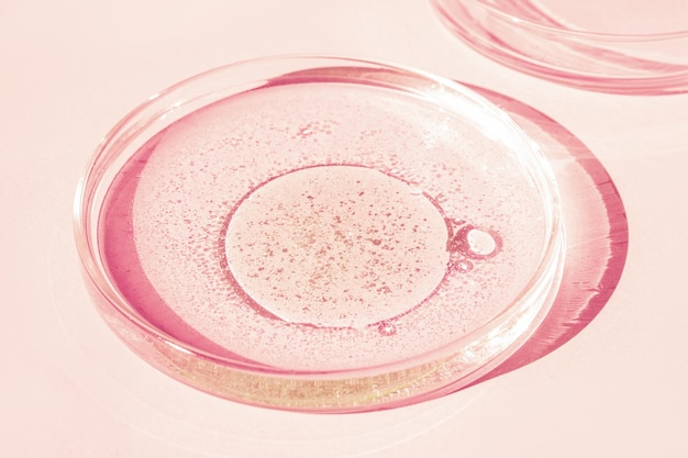 Petri dish Petri's cup with liquid Chemical elements oil cosmetics Gel water molecules viruses Closeup On a pink background