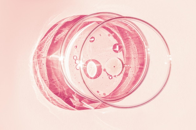 Petri dish Petri's cup with liquid Chemical elements oil cosmetics Gel water molecules viruses Closeup On a pink background