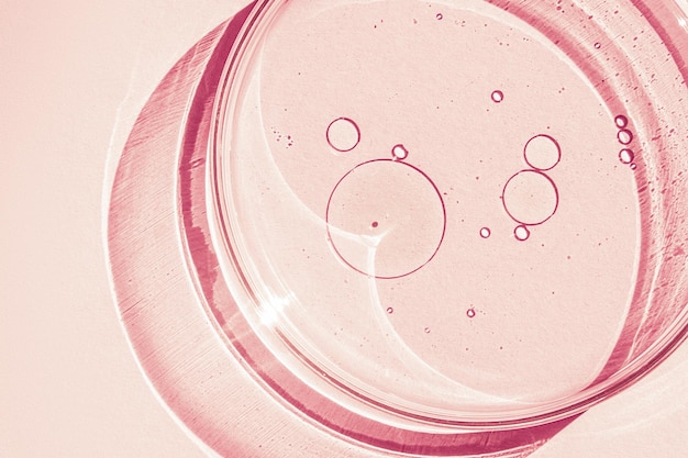 Petri dish Petri's cup with liquid Chemical elements oil cosmetics Gel water molecules viruses Closeup On a pink background