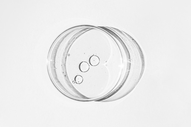 Petri dish Petri's cup with liquid Chemical elements oil cosmetics Gel water molecules viruses Closeup On a white background