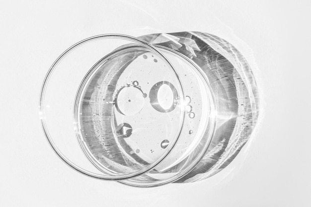 Petri dish Petri's cup with liquid Chemical elements oil cosmetics Gel water molecules viruses Closeup On a white background