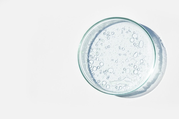 Petri dish Petris cup with liquid Chemical elements oil cosmetics Gel water molecules viruses Closeup On a white background