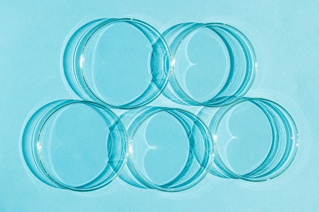 Petri dish A set of Petri cups On a blue blue background