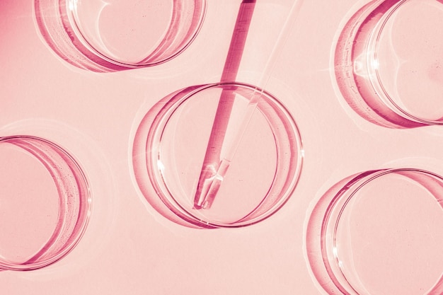 Petri dish A set of Petri cups A pipette glass tube On a pink background