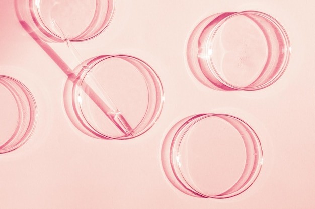 Petri dish A set of Petri cups A pipette glass tube On a pink background