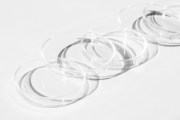 Petri dish A set of Petri cups On a white background Laboratory half