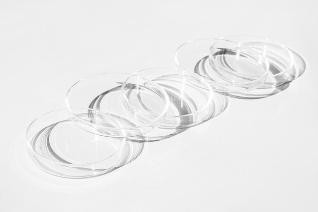 Petri dish A set of Petri cups On a white background Laboratory half