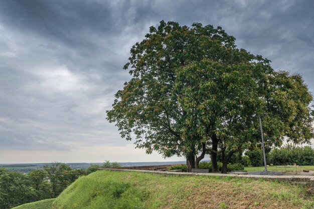 Petrovaradin Fortress in Novi Sad, Serbia