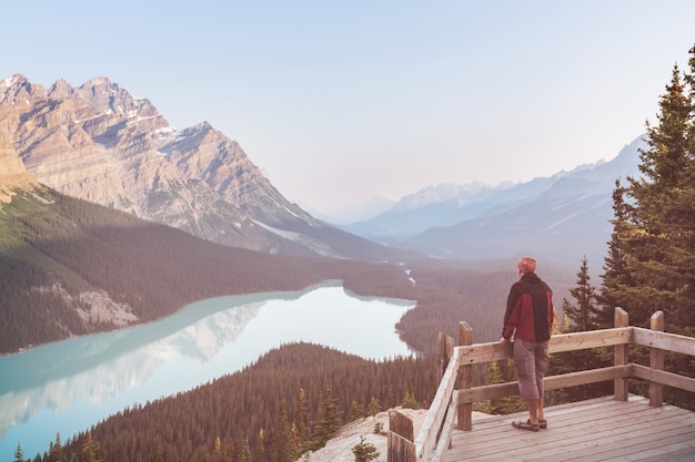 Peyto Lake in Banff National Park, Canada