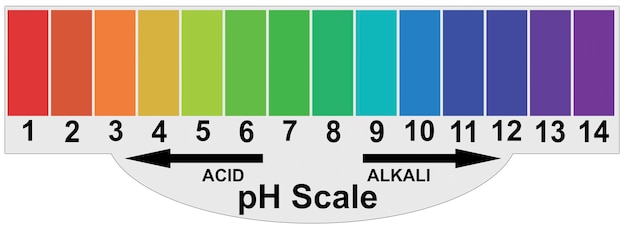 Photo ph alkaline and acidic scale