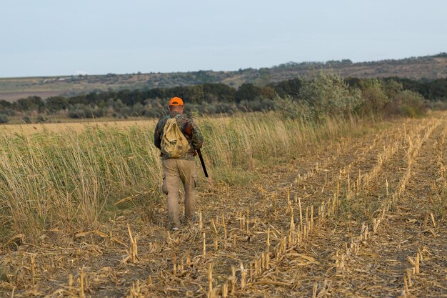 Pheasant hunter with shotgun walking through a meadow