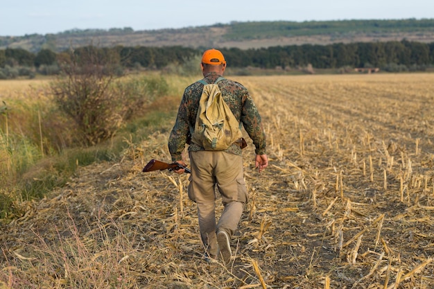 Pheasant hunter with shotgun walking through a meadow