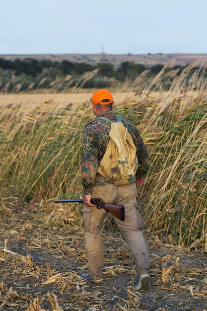 Pheasant hunter with shotgun walking through a meadow