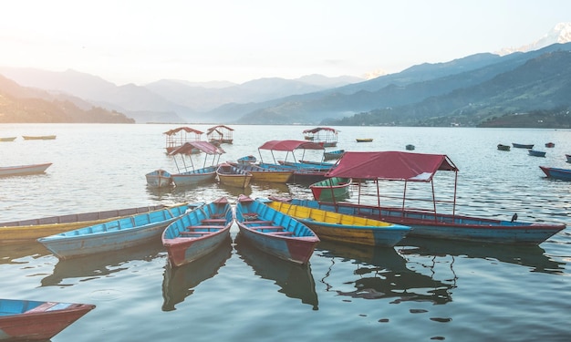 Photo phewa lake and colourful boats on the water nepal