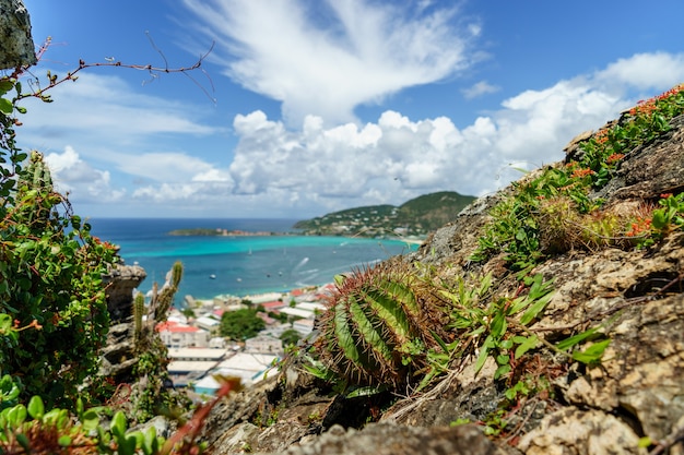 PHILIPSBURG, SINT MAARTEN -View from a high cliff with a cactus in the foreground