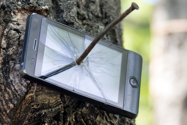 Phone nailed to tree in forest