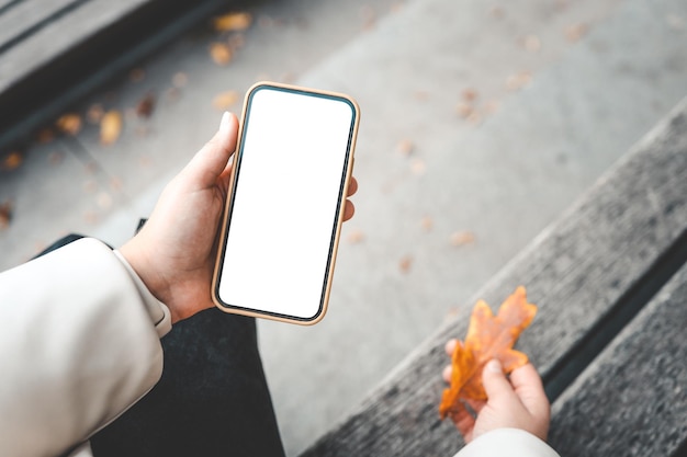 Phone with an isolated screen in hands on the street in the autumn park