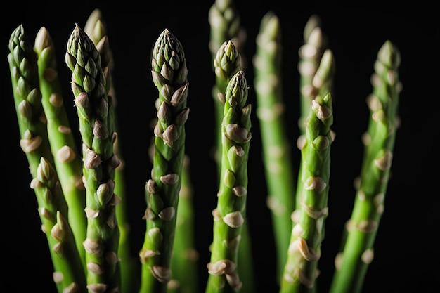 Photo asparagus stalks isolated