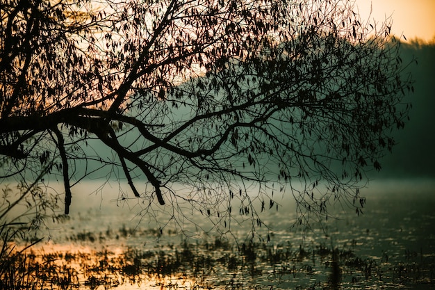 Photo of autumn trees and pond