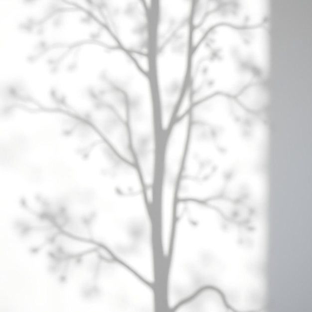 Photo photo of birch tree shadows tall slender shadows create vertical lines soft delicate edges with a