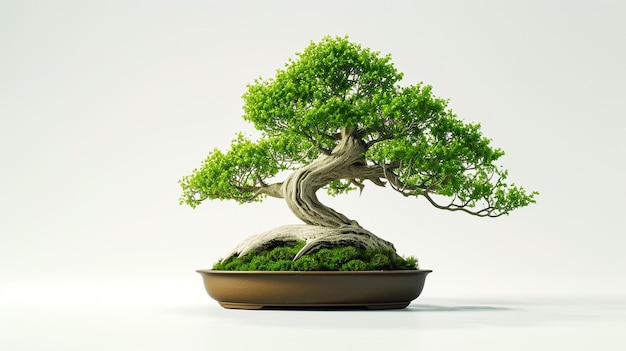 photo of Bonsai tree in a pot in isolated background A Perfect Bonsai Plant AI Generated