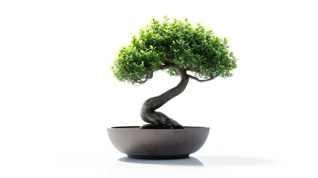 photo of Bonsai tree in a pot in isolated background A Perfect Bonsai Plant AI Generated